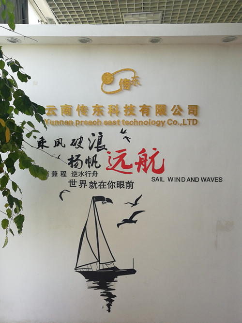 云南传东科技有限公司，面向东南亚。